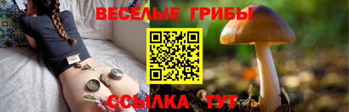 Псилоцибиновые грибы Cubensis  Вход с VPN  Псилоцибиновые грибы MAGIC MUSHROOMS  Людиново 